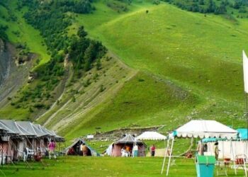 Kashmiris await traditional guests to return lost smiles in 2021