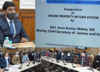 Portal for e-filing of property return statement launched