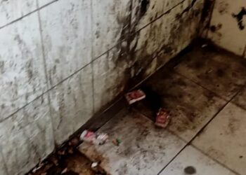 Students Rue Filthy Toilets At Amar Singh College