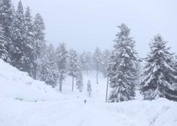 Snowfall in south Kashmir, parts of Jammu; MeT forecasts improvement in weather from tomorrow