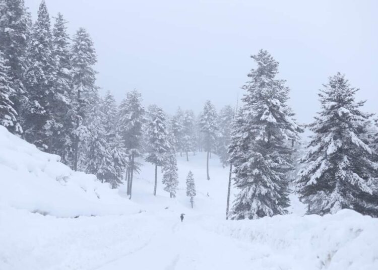 Snowfall in south Kashmir, parts of Jammu; MeT forecasts improvement in weather from tomorrow
