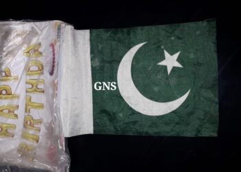 Aircraft-shaped Balloon With ‘PIA’ Written On It Recovered in Samba