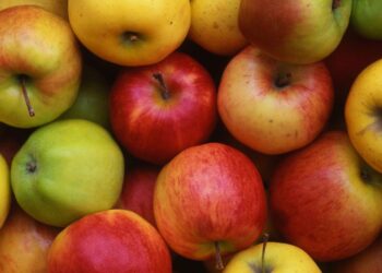 Kashmiris apple industry suffers as import of Iranian apples continues