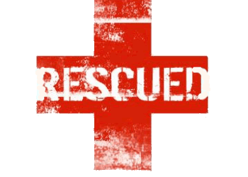 86 passengers stranded at Sita Ram Passi in Ramban rescued