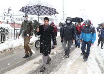 DC Srinagar tours City areas to oversee snow clearance, Power restoration