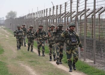 LoC ceasefire agreement completes one year, locals appeal for permanent continuity