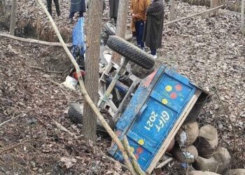 Two brothers killed as tractor turns turtle in Shallabugh, Gbl