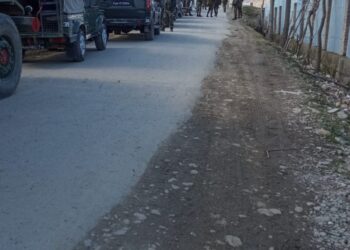Brief Shoot: Newly recruited militant injured, arrested in langate Handwara, Searches for another militant underway: Police