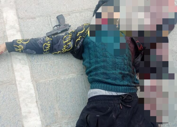 Lashkar commander among three militants killed in Pulwama, Sgr gunfights