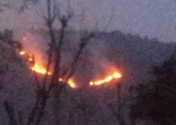 Fire Breaks Out In Ajas Wildlife Range Of Bandipora