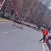 Poplar Trees, Electric Poles Fall Near SKICC, Boulevard Road Blocked