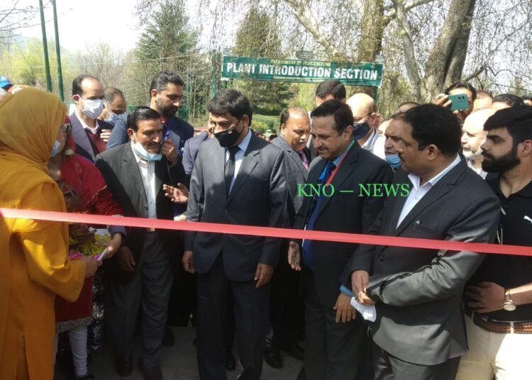 Past six months have seen highest ever tourist footfall in Kashmir: JK Govt