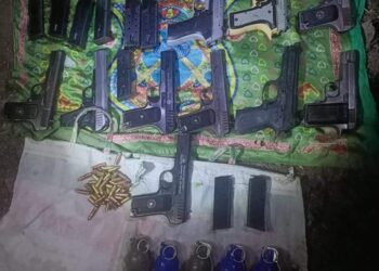 10 pistols, 5 grenades smuggled along LoC recovered in Kupwara: Police
