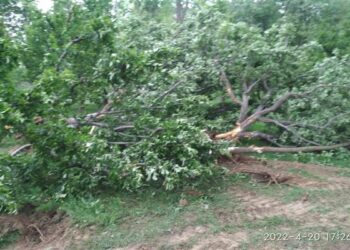 Hailstorm hits many villages of Kupwara