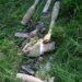 Old motar shells defused in Kulgam