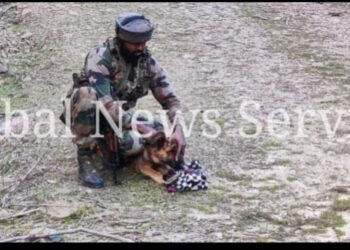 42-year-old Woman Goes Missing from Waderbala Handwara Forests