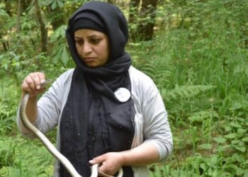 Meet Kashmir’s lone female wildlife expert who rescues snakes, reptiles, wild animals in a ‘Play-Way Method’