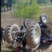 2 Persons Die As Tractor Turns Turtle In Pampore