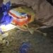 ’Woman Among 3 Persons Arrested On Recovery of 7 Kgs Narcotics, 2 IEDs at Sadhna Top’
