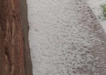 Massive Hailstorm Wreaks Havoc To Orchards Across Parts of North Kashmir Districts