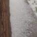 Massive Hailstorm Wreaks Havoc To Orchards Across Parts of North Kashmir Districts