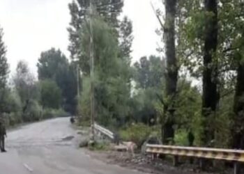 Explosive device detected, diffused on Baramulla-Handwara highway