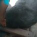Panic continues as wild bear continues to roam in Pulwama villages