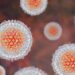 NHM (J&K) reviews Viral Hepatitis Control Programme