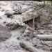 Fresh mudslides at Kullan Gund force closure of Srinagar-Leh highway