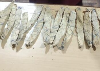 Lady Drug peddler held along with 250gm Charas like substance in Baramulla: Police