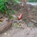 Fire extinguisher found in suspicious condition on road in Jammu locality