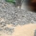 Mother-Daughter Duo Feared Dead As Flash Floods Hit Ramban