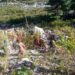 9 people killed, at least 27 others injured as bus falls into gorge in Poonch