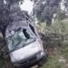 7 people injured as Ecco vehicle falls into gorge in Rajouri