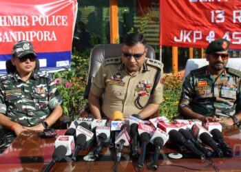 3 militants involved in killing of migrant labourer in Bandipora held, case solved: Police