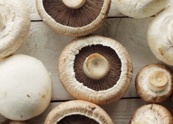 Progressing J&K : Mushroom emerging as new cash crop across J&K