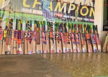 Kashmiri willow to feature in T20 World Cup 2022