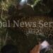 ‘Man Eater’ Leopard Hunted Down Finally In Uri