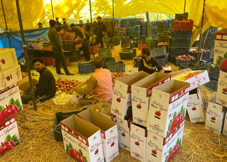 Pulwama Viral Video: Apple Burning Incident In Pulwama, Police issues statement