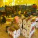 Pulwama Viral Video: Apple Burning Incident In Pulwama, Police issues statement