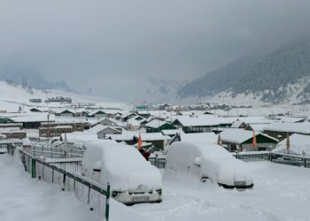 Kupwara Receives Highest Snowfall In Kashmir