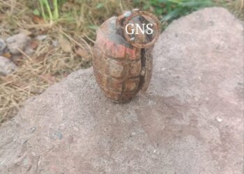 Rusty Grenade Found, Destroyed in Poonch
