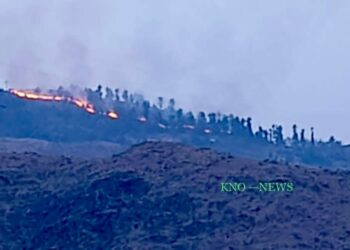 Fire breaks out in Sopore forests, efforts on to douse flames