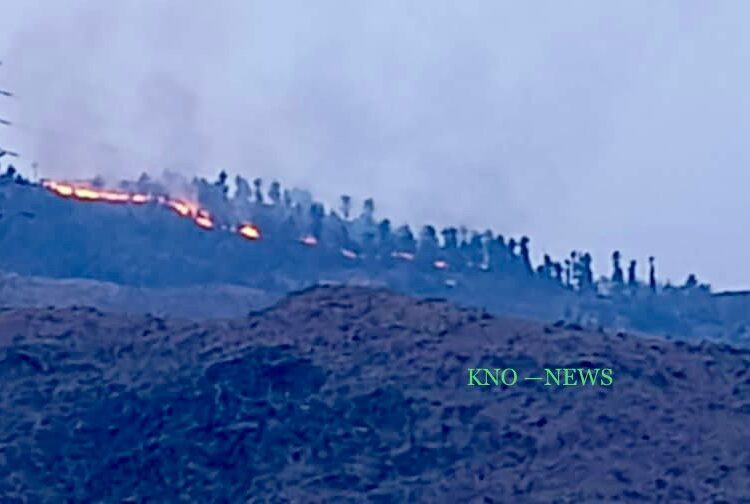 Fire breaks out in Sopore forests, efforts on to douse flames