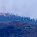 Fire breaks out in Sopore forests, efforts on to douse flames