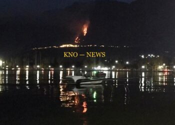 Fire breaks out in forest area of Meebagh, Brein