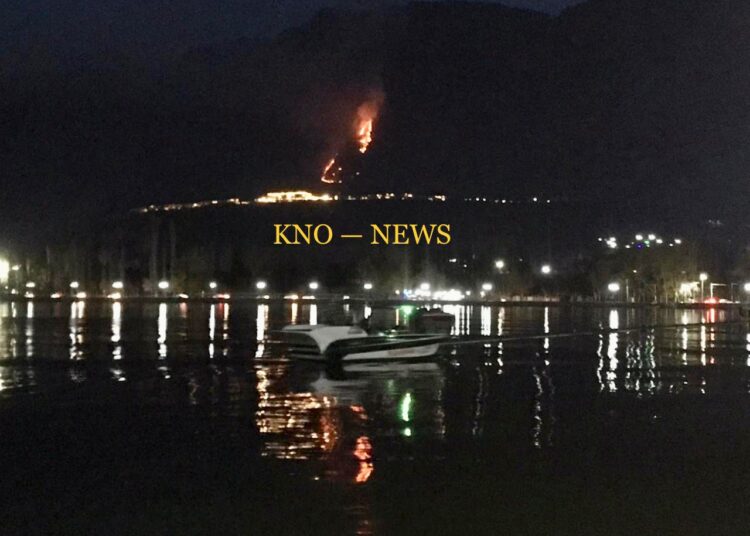 Fire breaks out in forest area of Meebagh, Brein