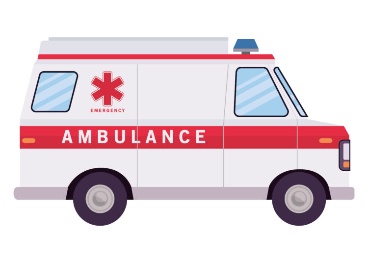 2 persons die after hit by ambulance near children’s hospital Bemina