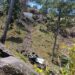 Two Soldiers Killed As Army Vehicle Falls Into Gorge Near LoC In Rajouri