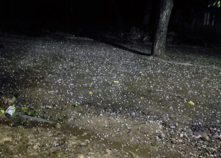 Hailstorm Wreaks Havoc to Orchards, Crops Across Ajas, Its Adjoining Villages in Bandipora
